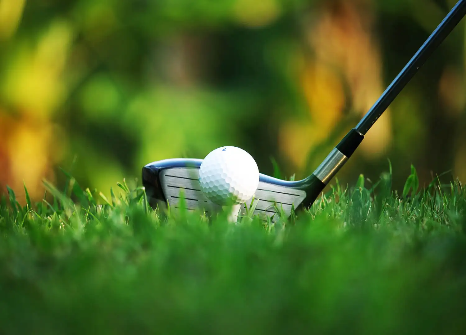 sports-and-recreation-64